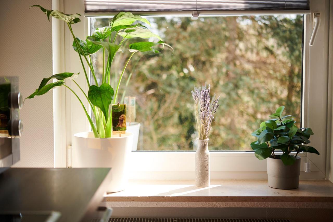 Apartament Grosszuegig & Stilvoll Parkplatz ,Ruhige Lage, 5 Personen, Langzeit Paderborn Zewnętrze zdjęcie